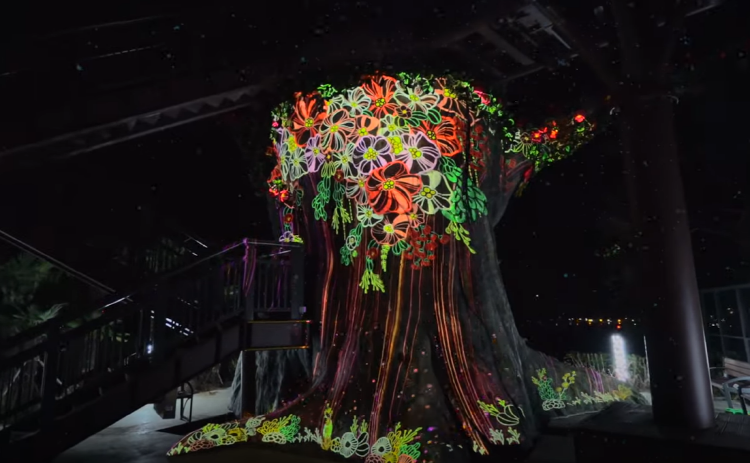 통영 디피랑 경관