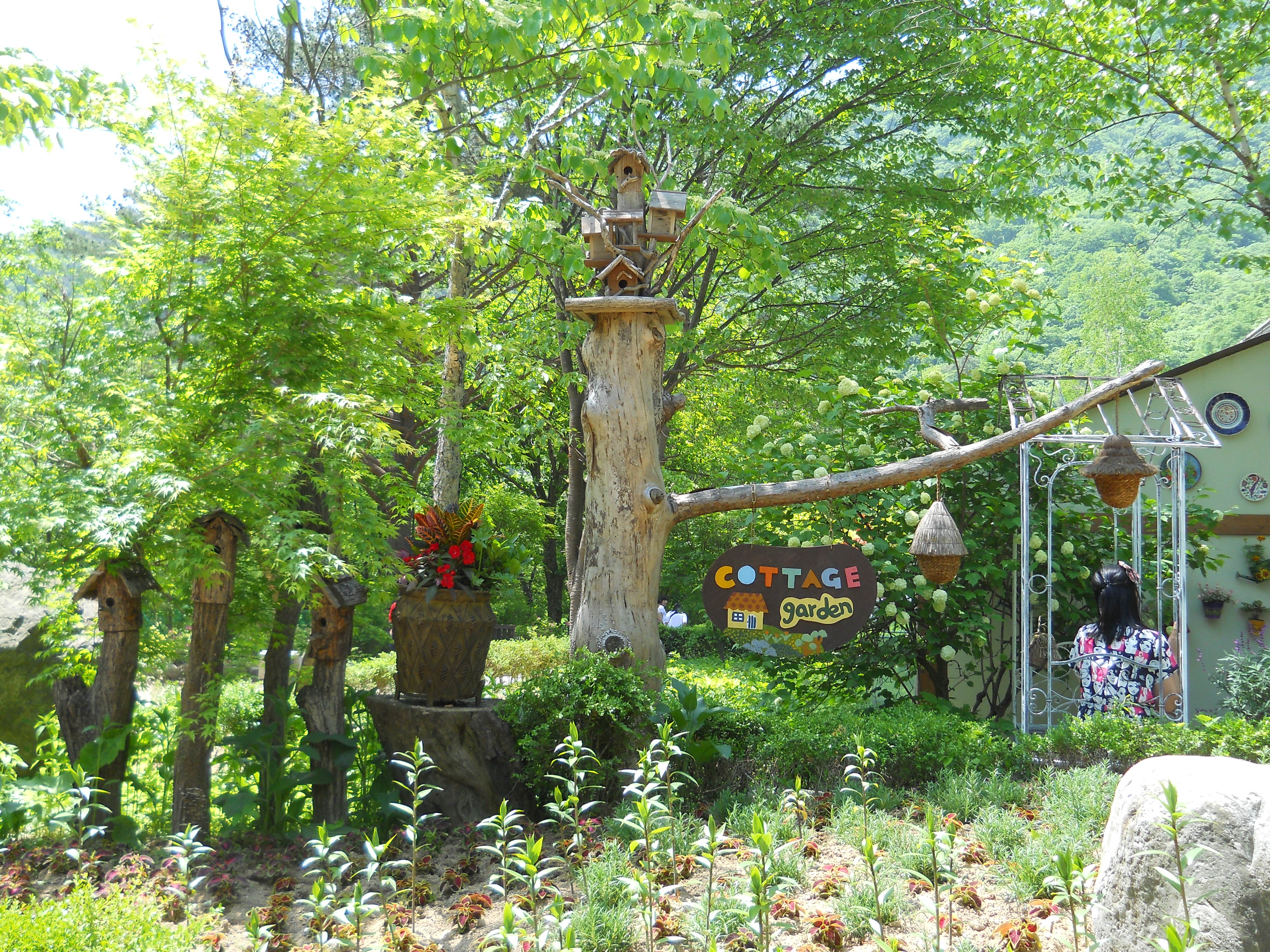 평창 허브나라 농원(Herbnara Farm)