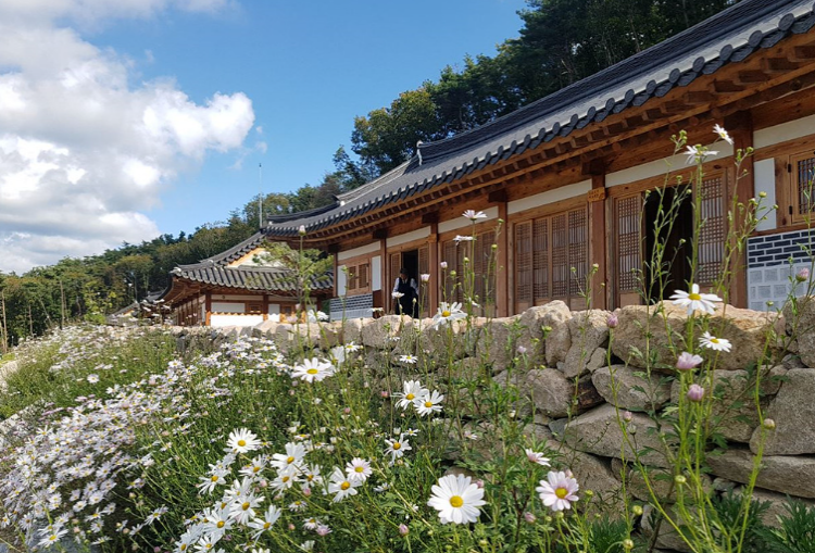 속리산 숲체험휴양마을