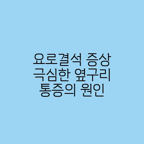 요로결석 증상 극심한 옆구리 통증의 원인