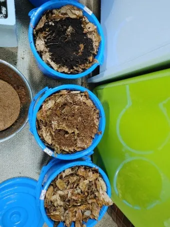 농사 퇴비 만들기 낙엽 음식물 왕겨 EM발효 쉬운 방법_17