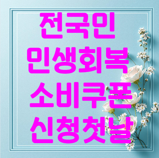 전국민 민생회복 소비쿠폰 신청 첫날