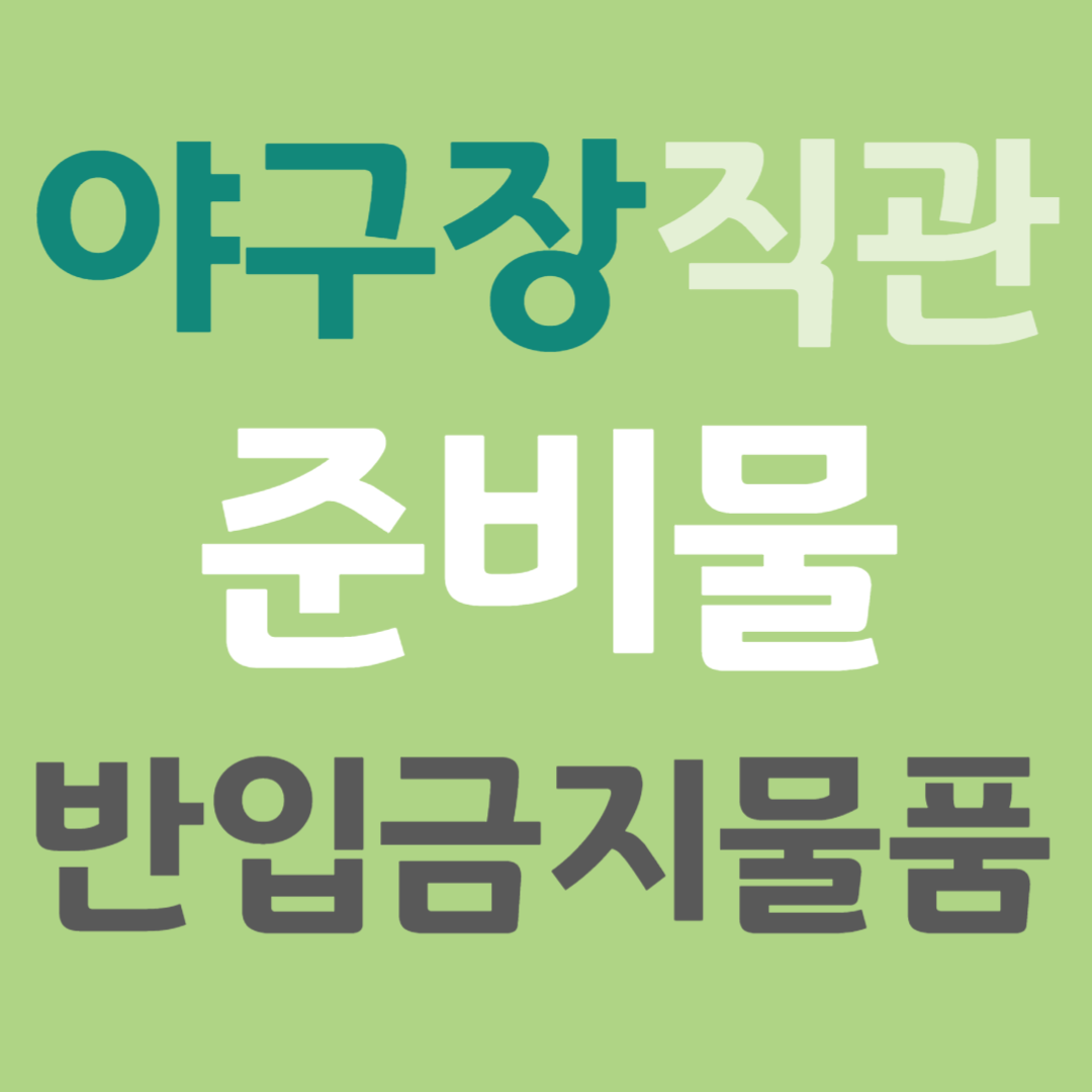 야구장 직관 준비물