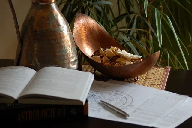 무료운세 건강운 분석 사진