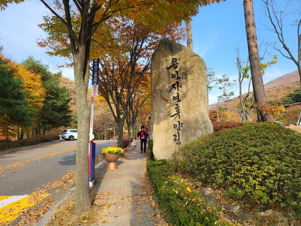 용인자연휴양림 풍경