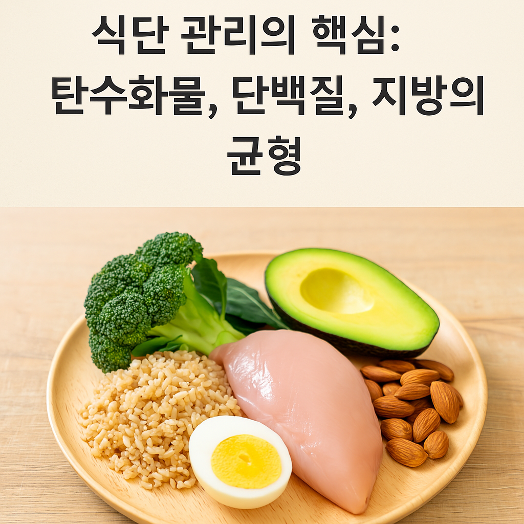 식단 관리의 핵심: 탄수화물, 단백질, 지방의 균형