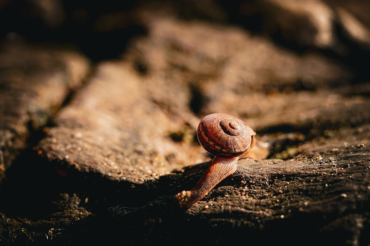 부동산 전자계약서 작성방법