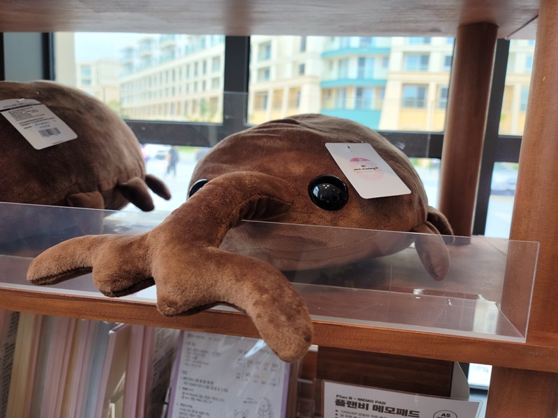 쏠비치 진도 - 아바니 아트콜렉션 내부3