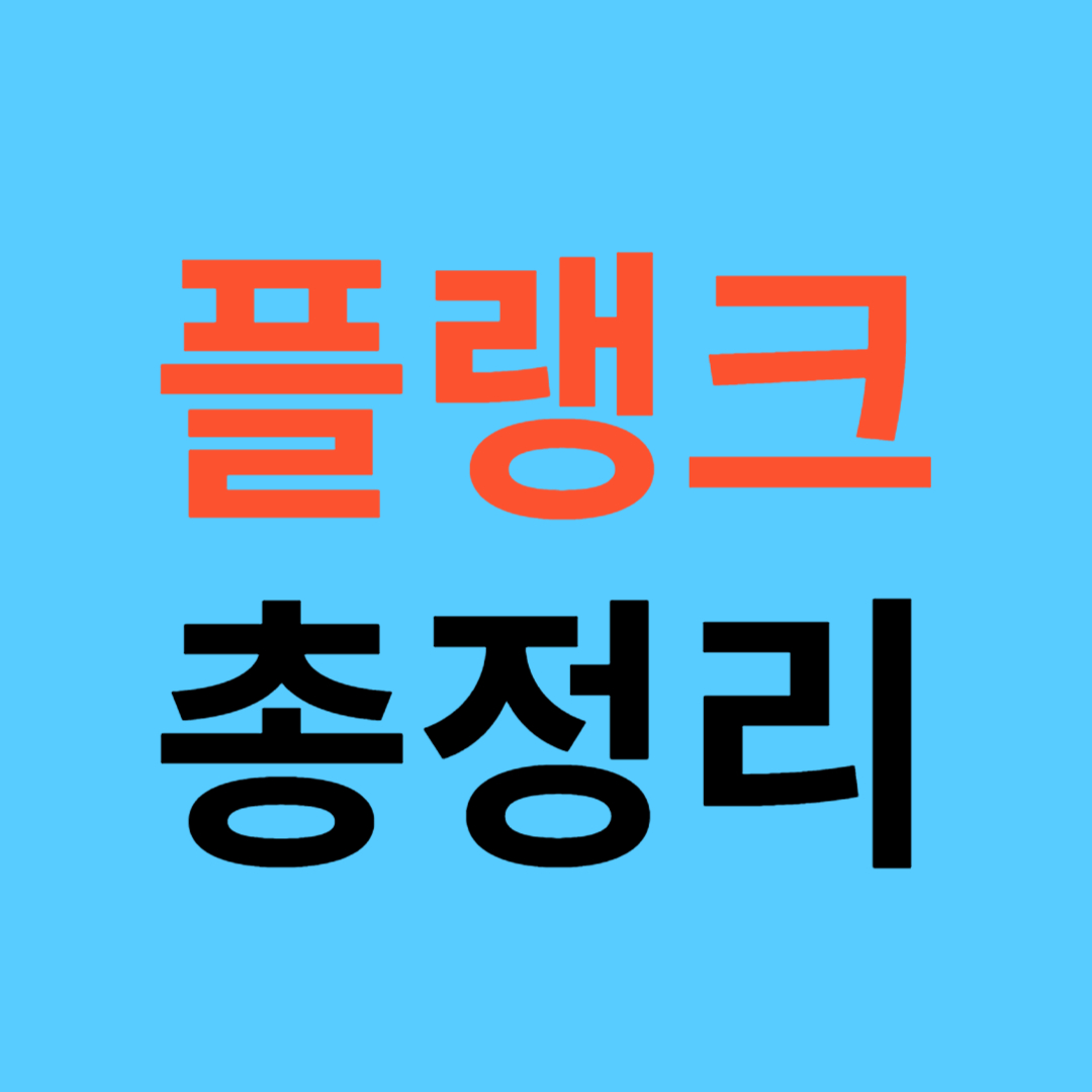 플랭크 총정리