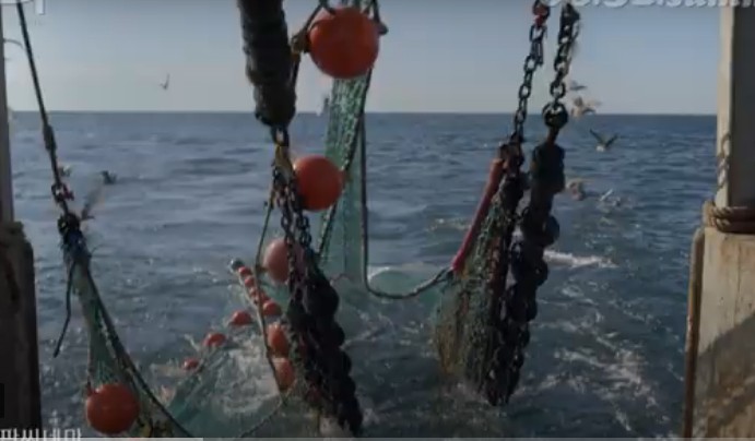 코다 (CODA&#44; 2021)