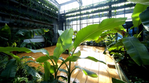 미리내 힐빙 클럽