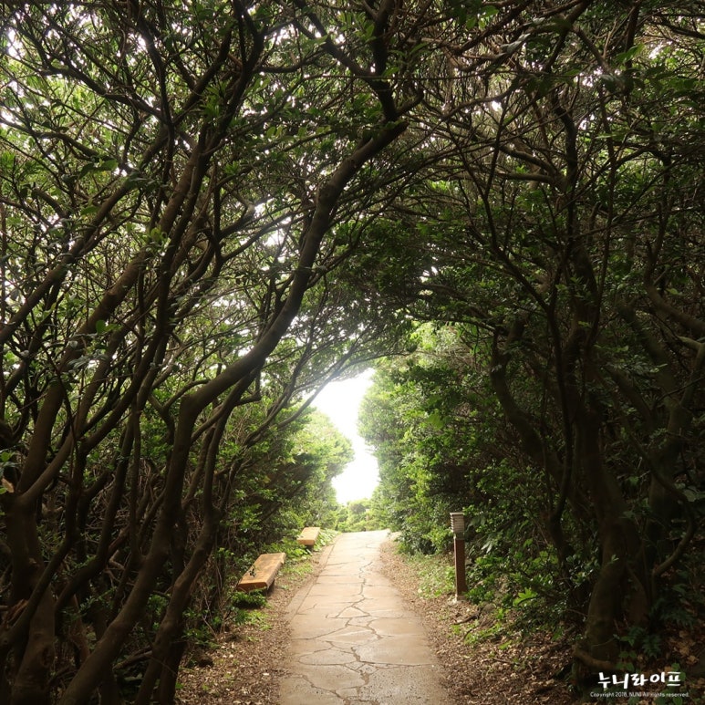 큰엉해안경승지