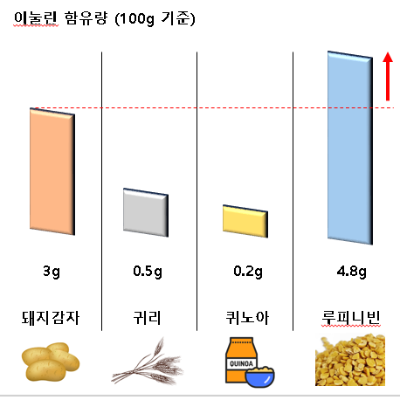 이눌린 함유량 비교