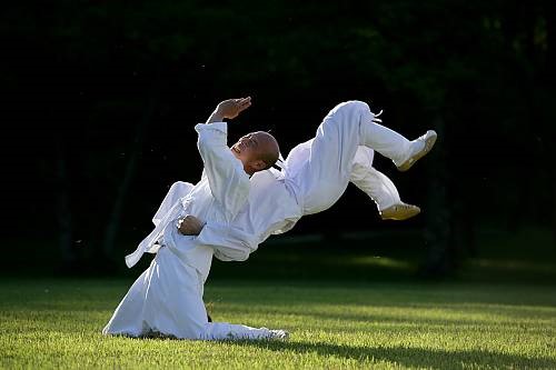 문화유산으로서 태껸의 확장 가능성