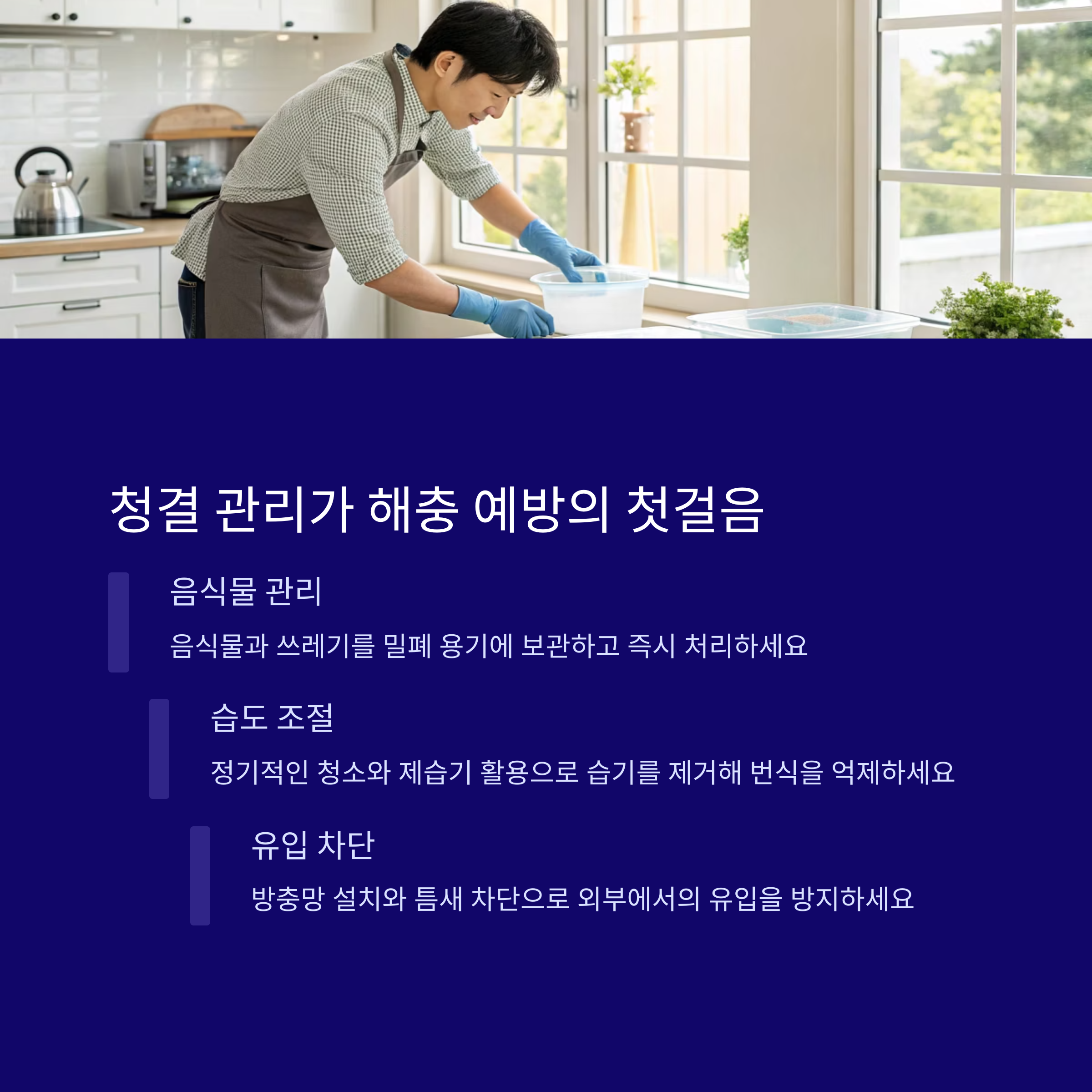 집벌레퇴치법