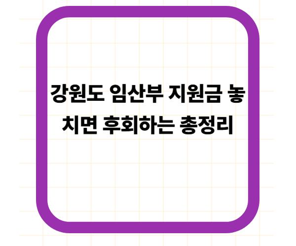 강원도 임산부 지원금 놓치면 후회하는 총정리