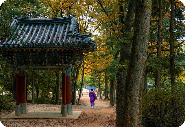 청와대 관람신청 예약 - 청와대 관람신청 예약 전 유의사항