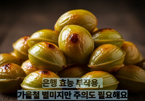 은행 효능 부작용, 가을철 별미지만 주의도 필요해요