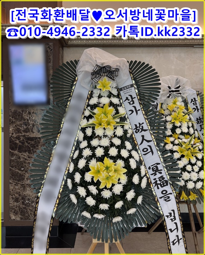 군산화환꽃집