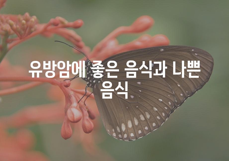 샘플 (51)