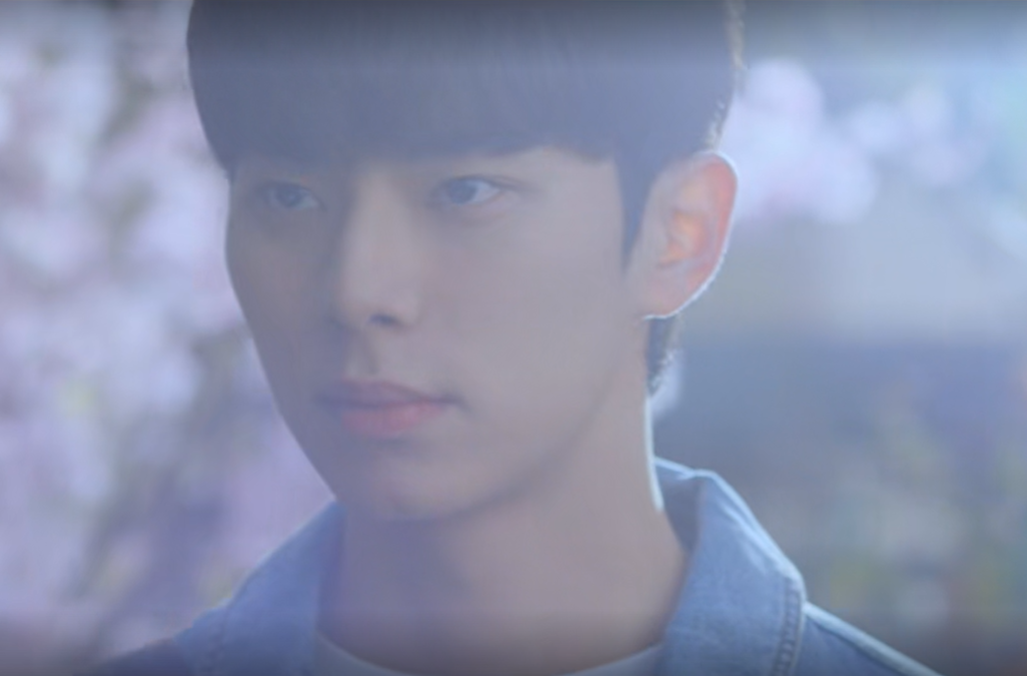 바니와 오빠들 몇부작? 등장인물&amp;#44; OTT&amp;#44; 재방송 완전 정리