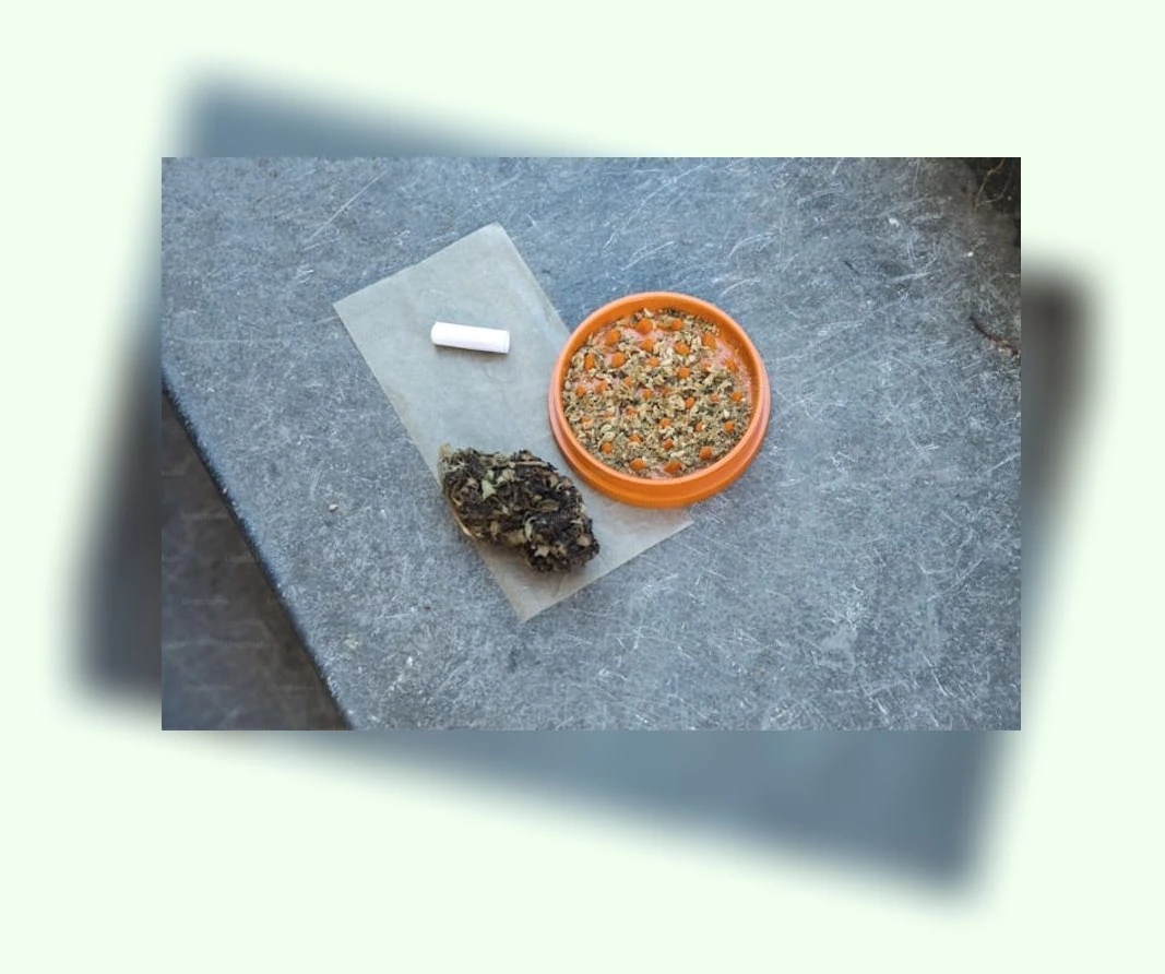 반려동물 관절 건강_1_subsection