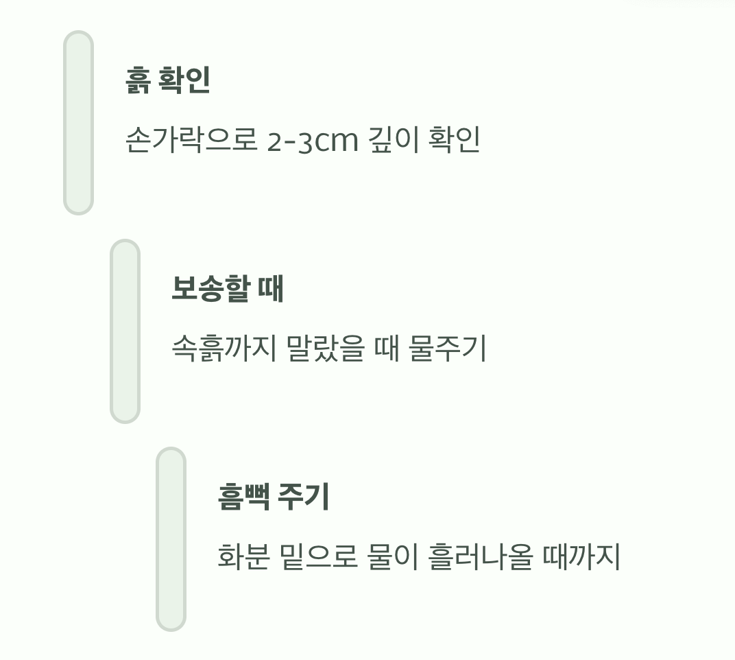 물주기, 과습은 절대 금물