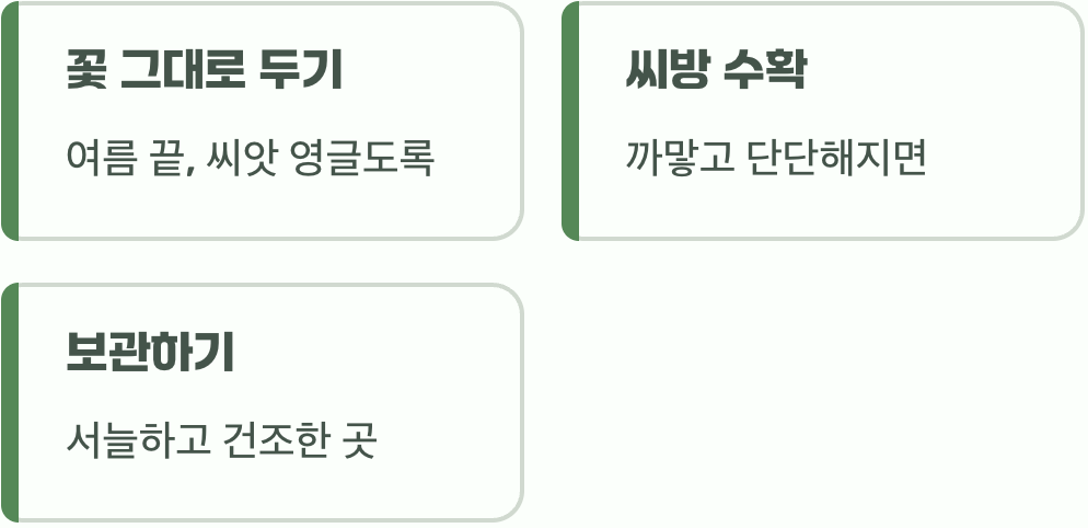 내년을 기약하는 씨앗 받기