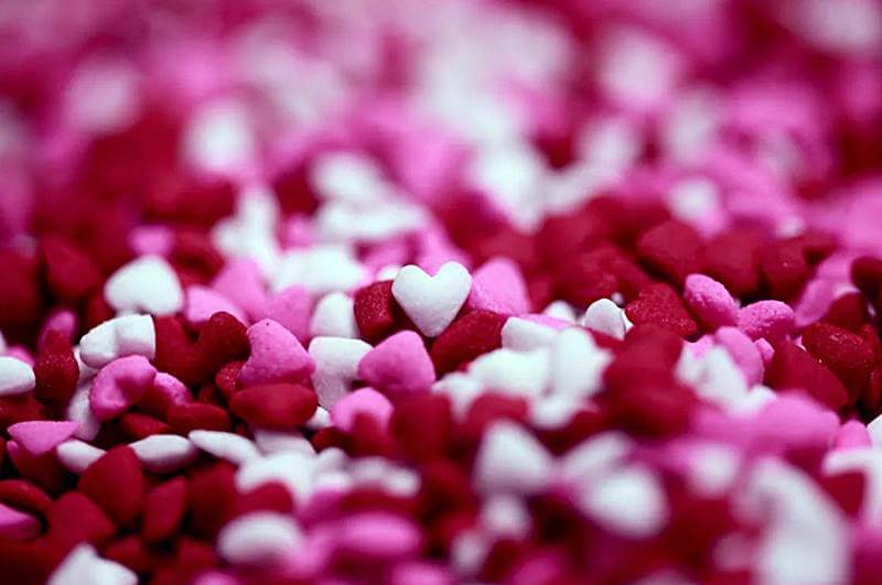 작은-하트-모양의-과자-모습