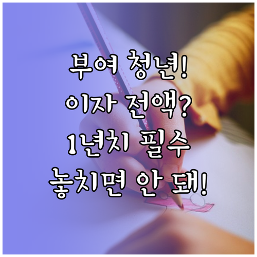 충남 부여 청년 1년치 학자금 대출 ..