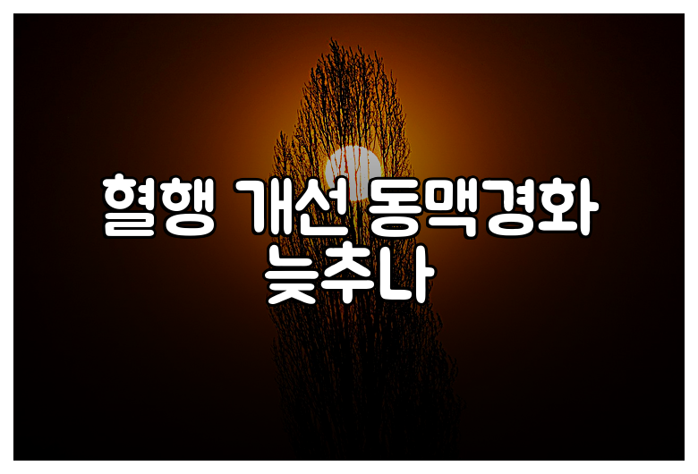 혈행 개선 동맥경화 늦추나
