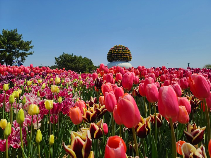 어린이날 여행지 추천