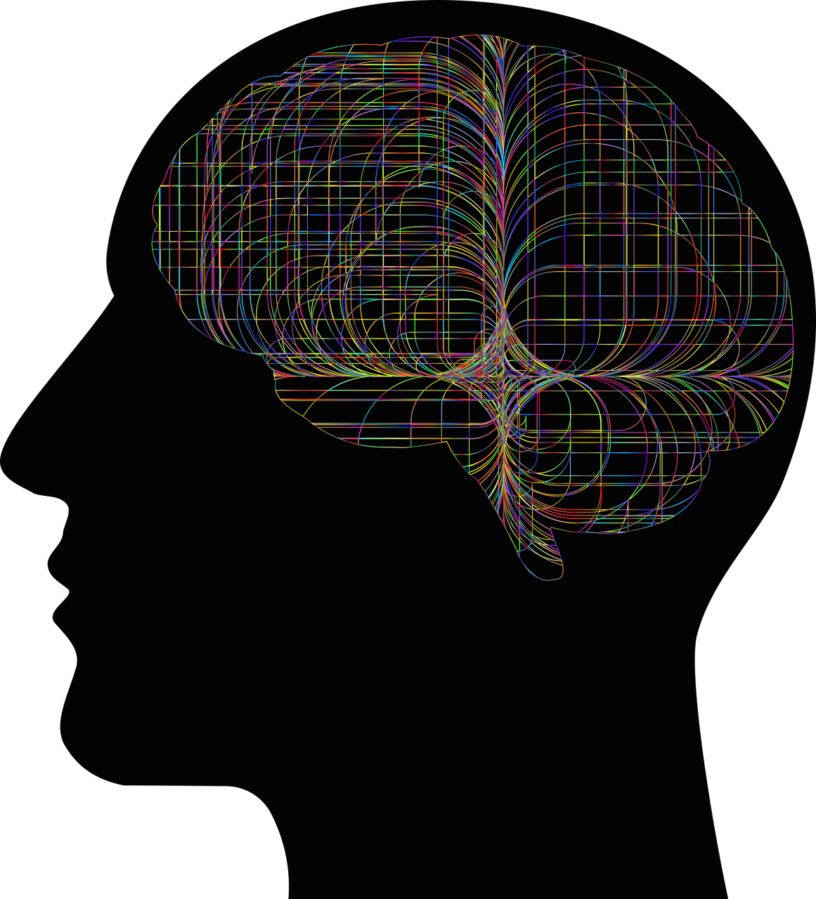 지속적인 학습이 뇌 노화를 늦추는 이유 &ndash; 평생 학습의 중요성과 뇌 활성화