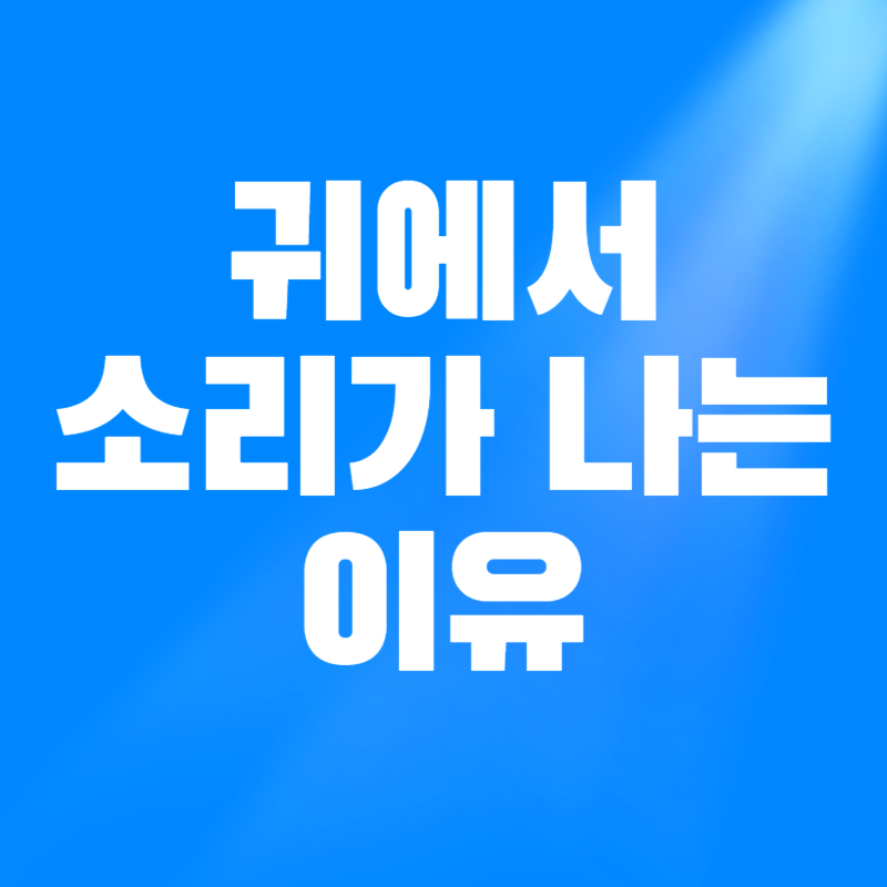 귀에서 소리가 나는 이유