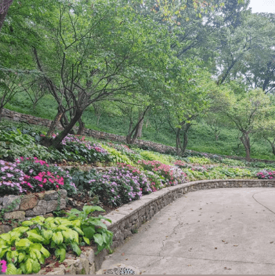 화담숲 당일 취소 및 환불 가능한 시간대 총정리.