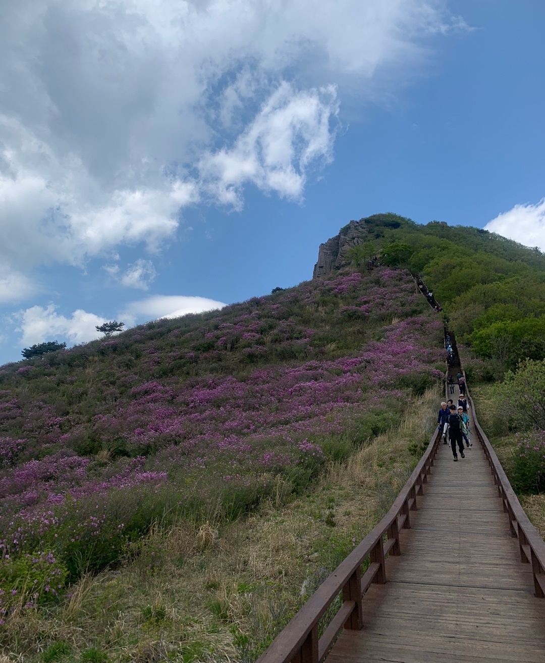계단만 따라 올라가면됩니다.