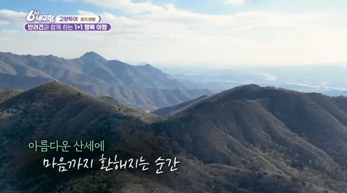 [6시내고향]경기 양평 애견동반 바베큐&middot;정원카페&middot;산악 액티비티 &amp;#39;바베큐레이브 더그림 엑스라이프&amp;#39; 예약 위치 연락처 정보