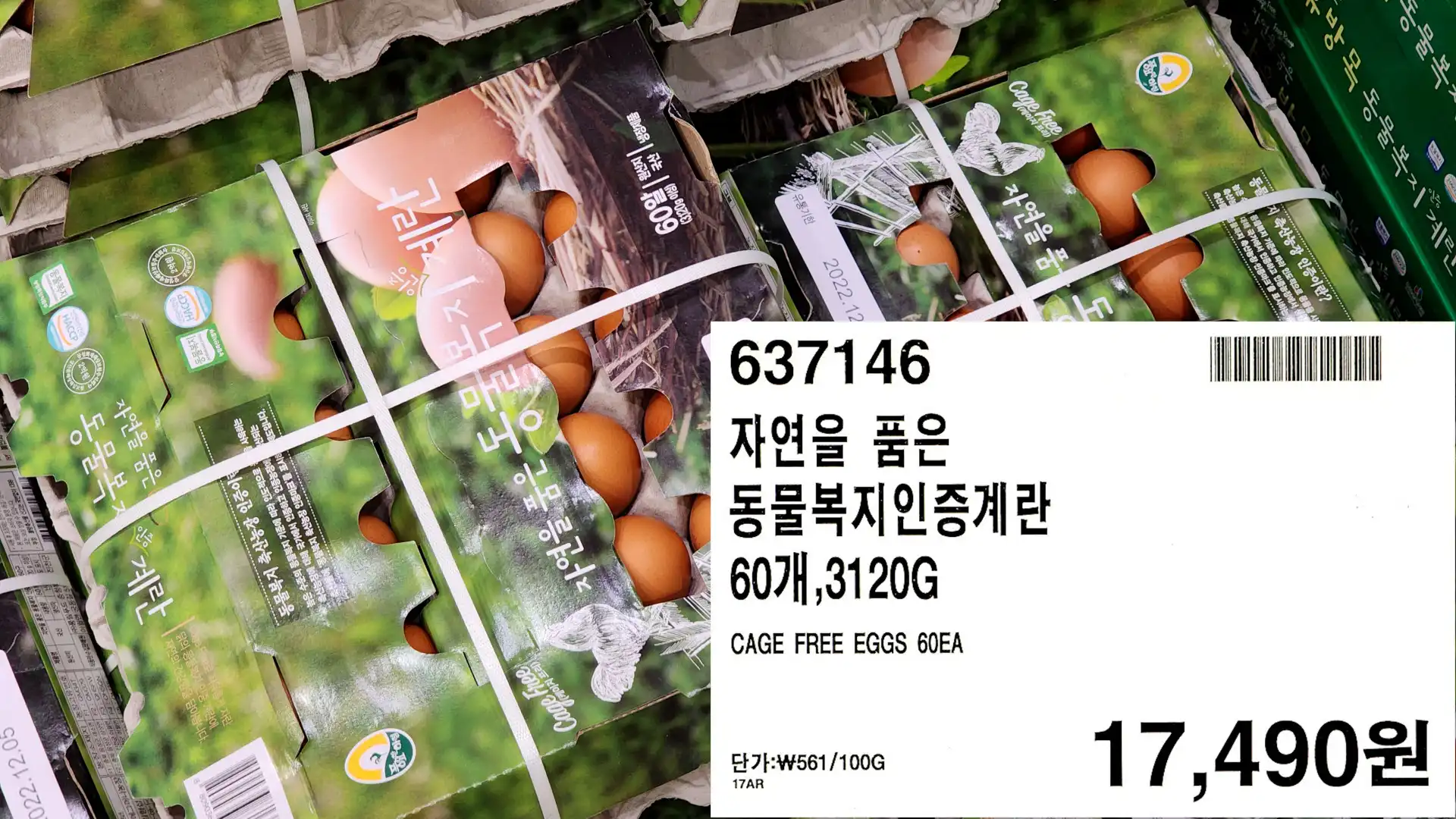 자연을 품은
동물복지인증계란
60개,3120G
CAGE FREE EGGS 60EA
17,490원