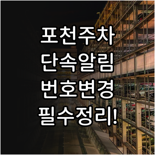 포천시 주차 단속 알림 서비스 가입 ..