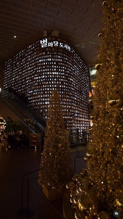 예쁜 크리스마트 트리 있는 곳