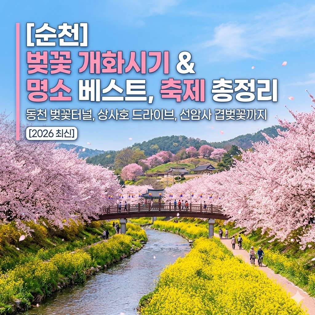 순천 벚꽃 명소