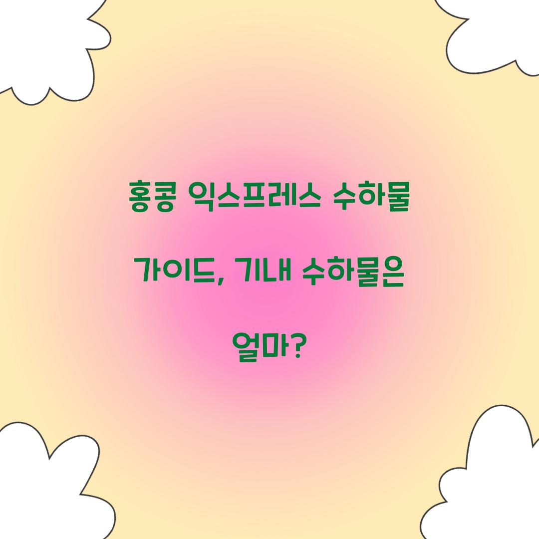 홍콩익스프레스 수하물