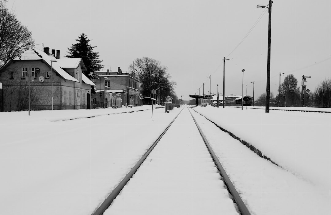 Snow tire