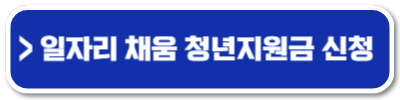 일자리채움청년지원금