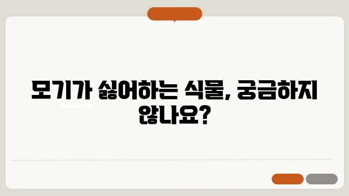 모기가 싫어하는 식물