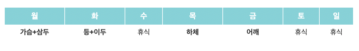 3분할 루틴