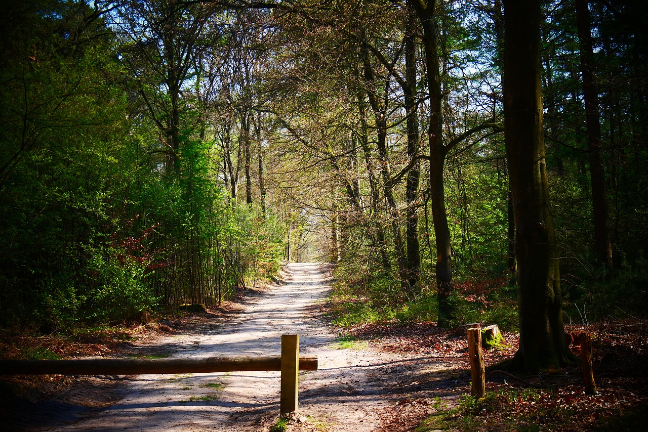 폐암 예방 관련 사진