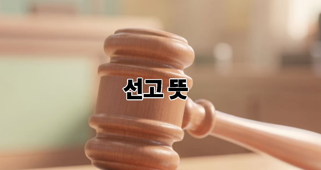 선고 뜻 완벽정리