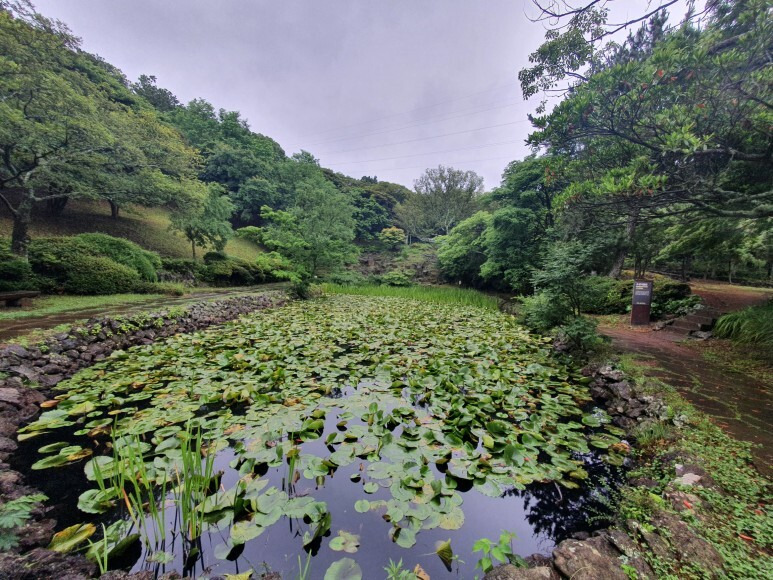 제주 도민들이 인정한 최애 숲·휴양림·공원 베스트 10 한라수목원