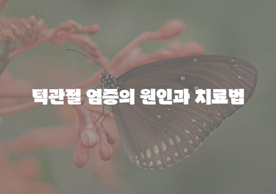 샘플 (51)